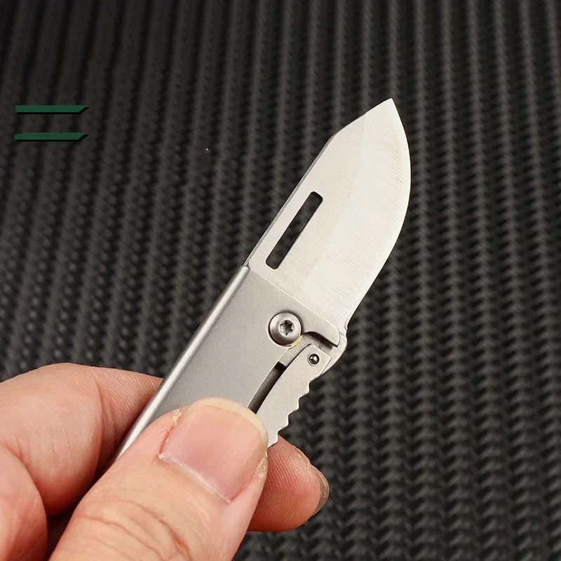 Mini Outdoor Folding Knife D2 Steel